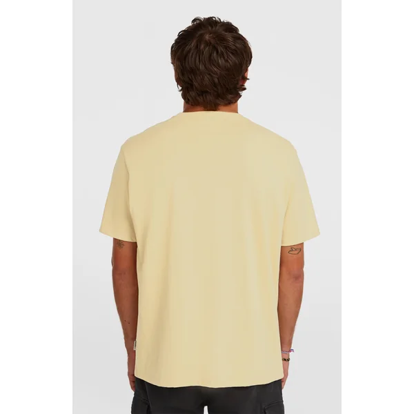 T-shirt Melange Chest-Print | Cocoa Sand