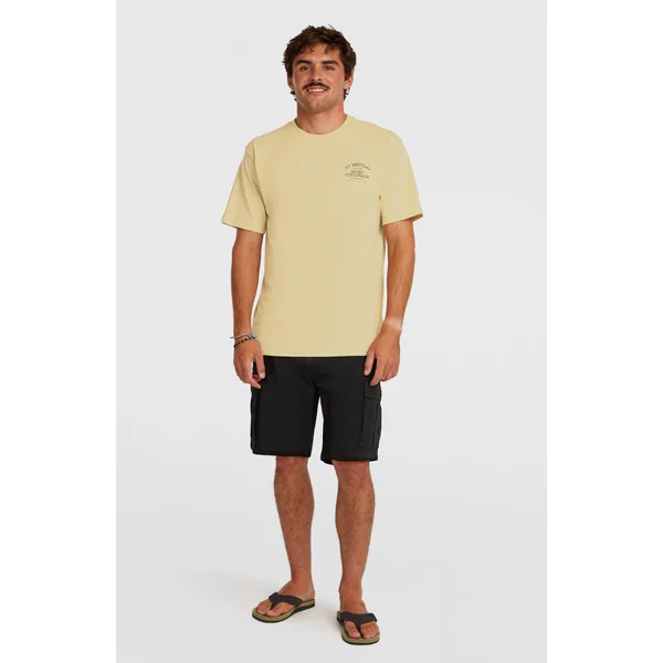 T-shirt Melange Chest-Print | Cocoa Sand