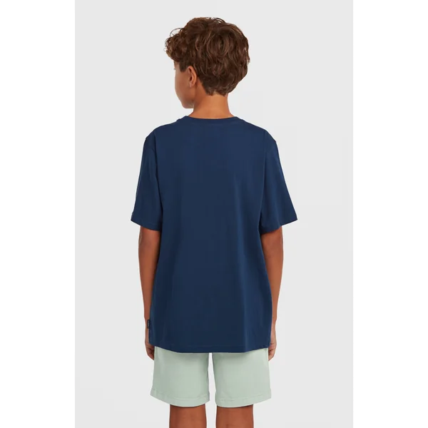 T-shirt O'Neill Chest-Print | English Evening