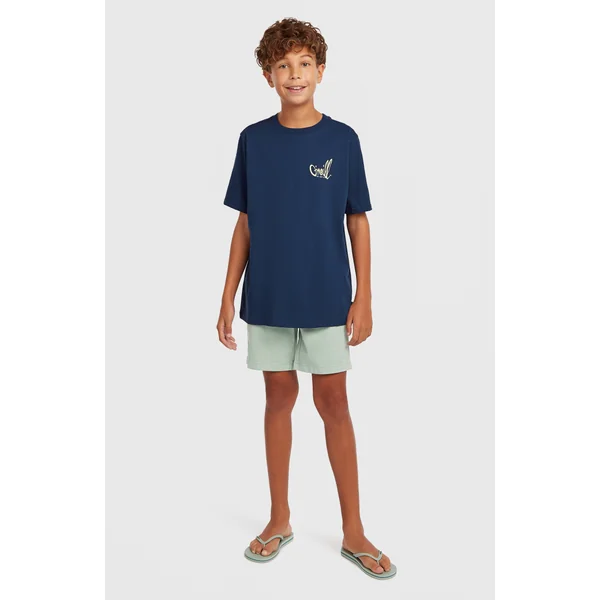 T-shirt O'Neill Chest-Print | English Evening