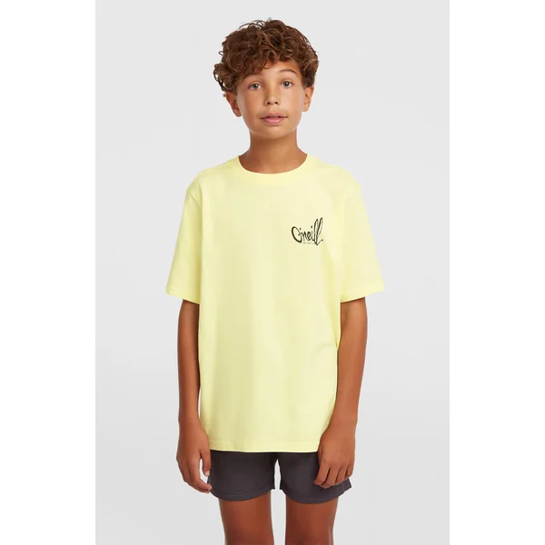 T-shirt O'Neill Chest-Print | Rainforest Dew