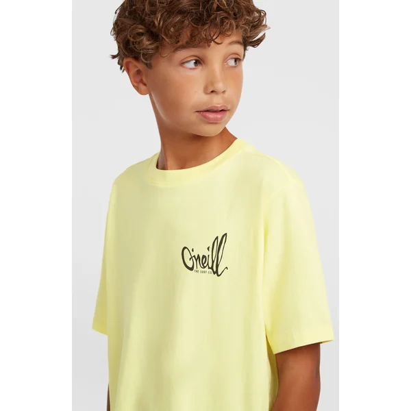 T-shirt O'Neill Chest-Print | Rainforest Dew