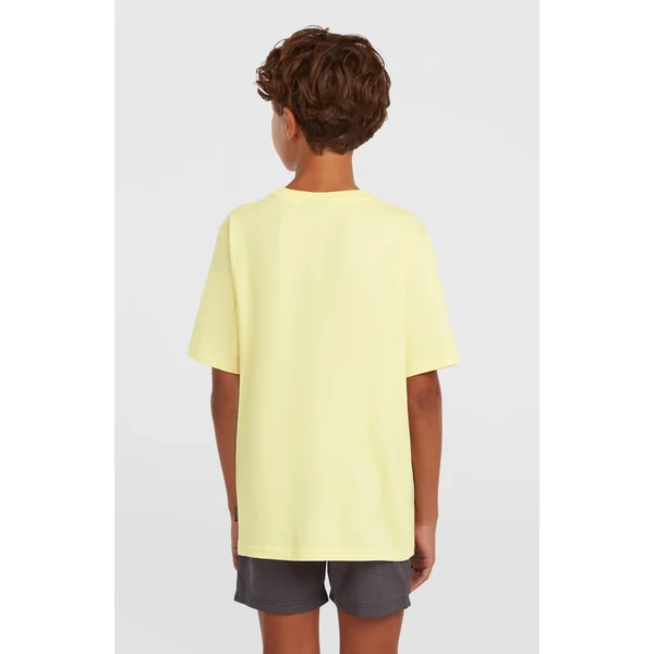 T-shirt O'Neill Chest-Print | Rainforest Dew