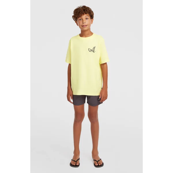T-shirt O'Neill Chest-Print | Rainforest Dew