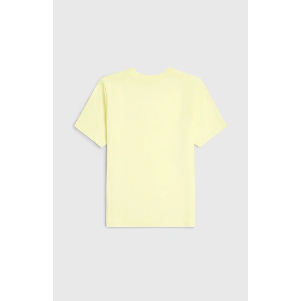 T-shirt O'Neill Chest-Print | Rainforest Dew