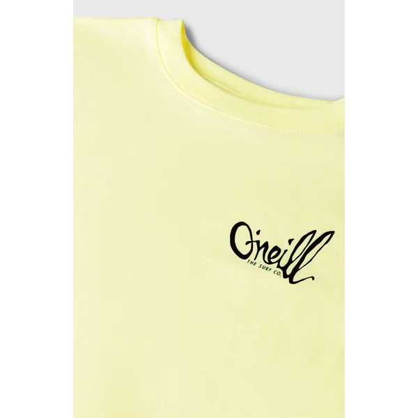 T-shirt O'Neill Chest-Print | Rainforest Dew