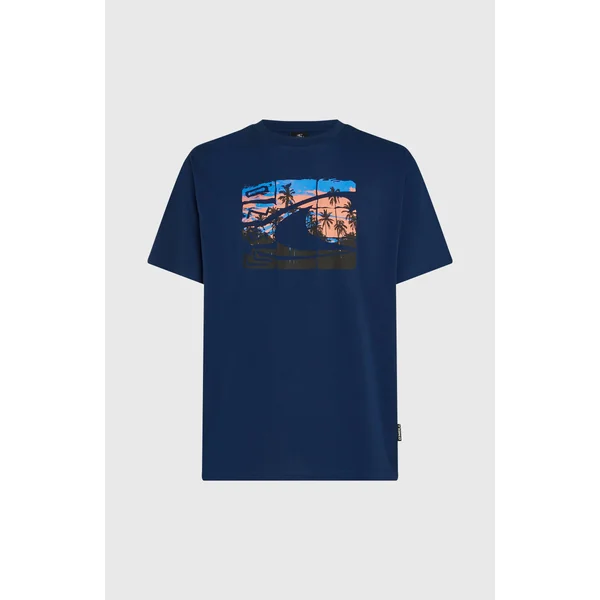 T-shirt O'Neill Gradient | English Evening