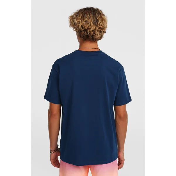 T-shirt O'Neill Gradient | English Evening
