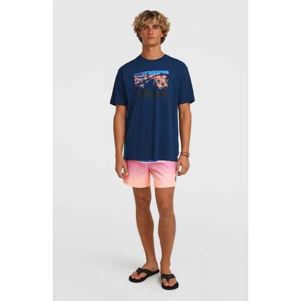 T-shirt O'Neill Gradient | English Evening