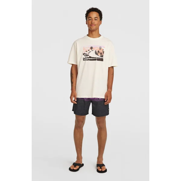 T-shirt O'Neill Gradient | Snow White