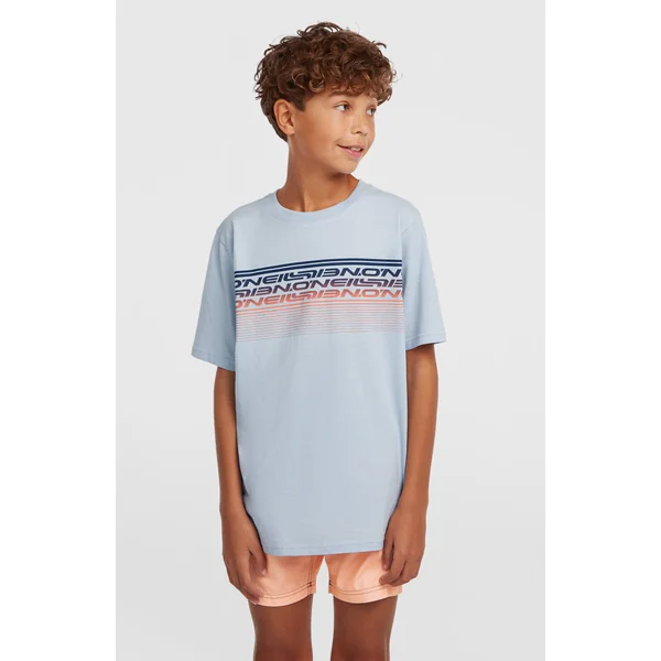 T-shirt O'Neill Logo Stripe | Spindle