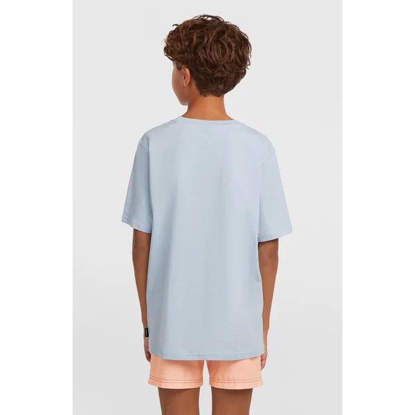 T-shirt O'Neill Logo Stripe | Spindle
