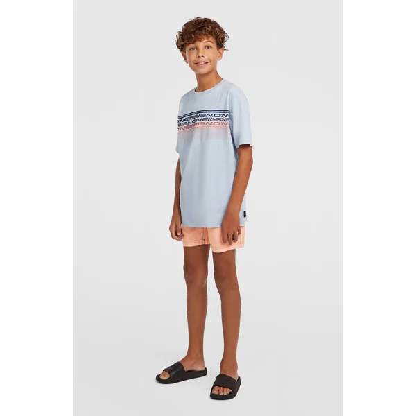 T-shirt O'Neill Logo Stripe | Spindle
