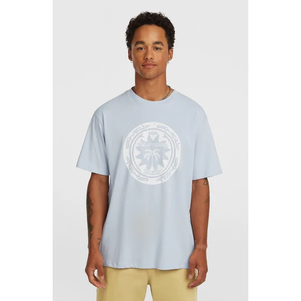 T-shirt O'Neill Must-Have Graphic | Spindle