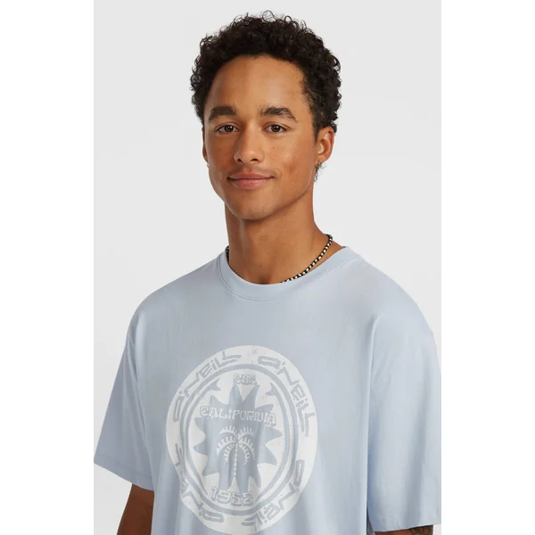 T-shirt O'Neill Must-Have Graphic | Spindle