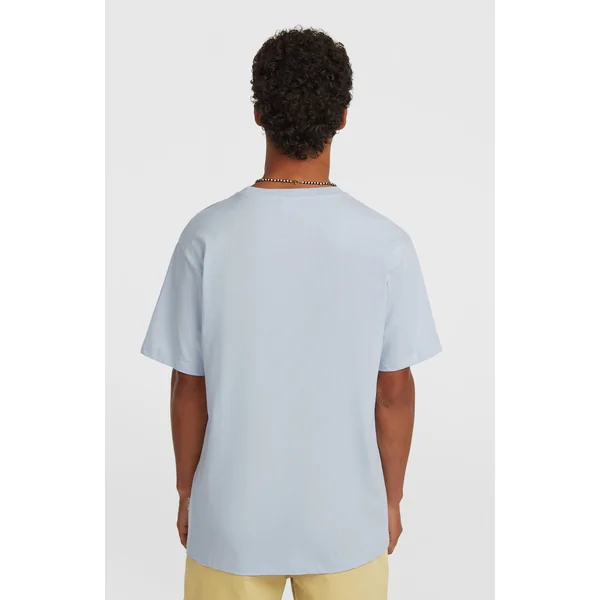 T-shirt O'Neill Must-Have Graphic | Spindle