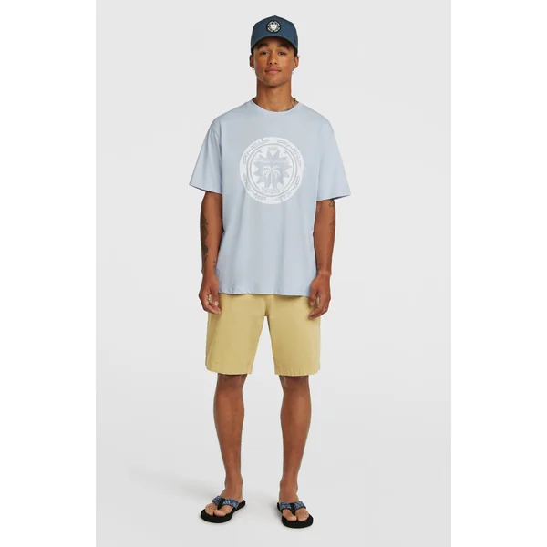 T-shirt O'Neill Must-Have Graphic | Spindle