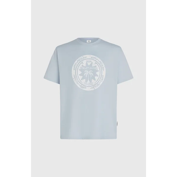 T-shirt O'Neill Must-Have Graphic | Spindle
