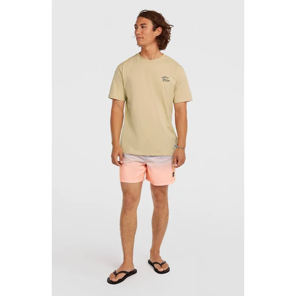 T-shirt O'Neill Retro Back-Print | Cocoa Sand