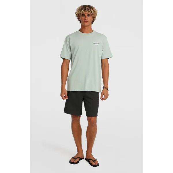 T-shirt O'Neill Retro Back-Print | Marble Arch