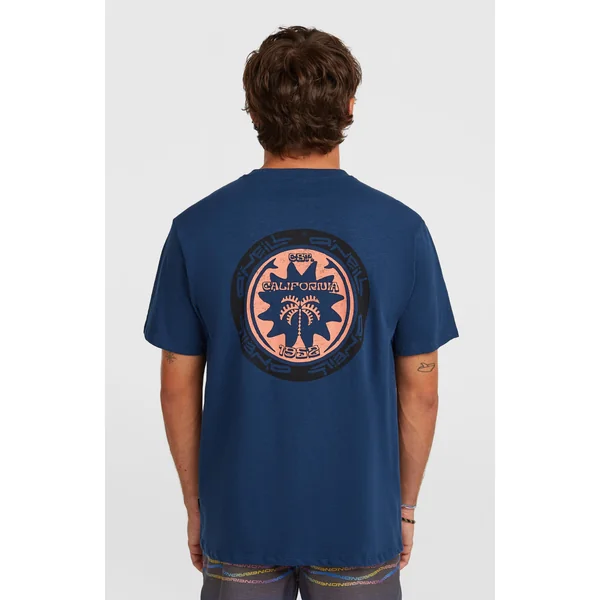 T-shirt O'Neill Slub Back-Print | English Evening