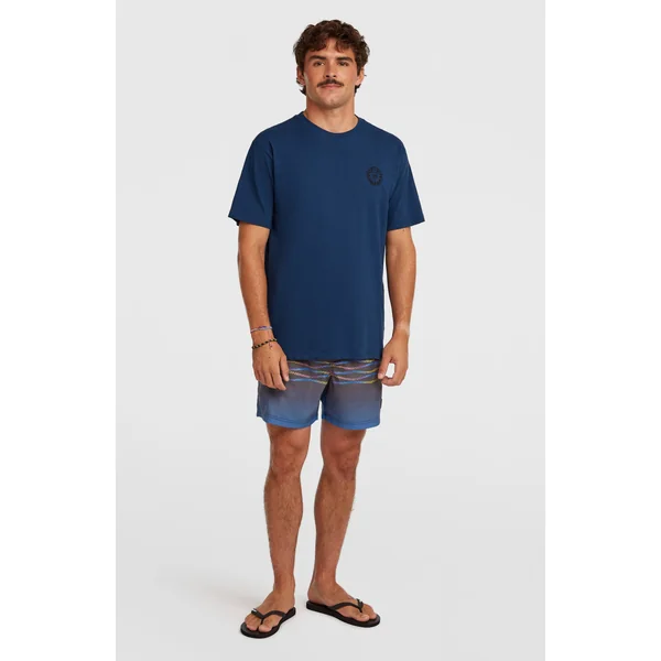 T-shirt O'Neill Slub Back-Print | English Evening