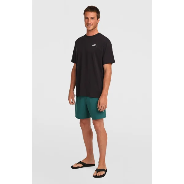 T-shirt O'Neill Small Logo | Black Out