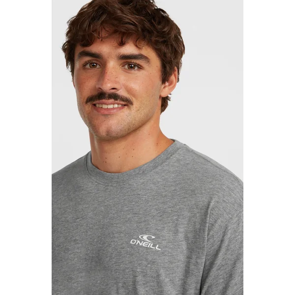 T-shirt O'Neill Small Logo | Silver Melee