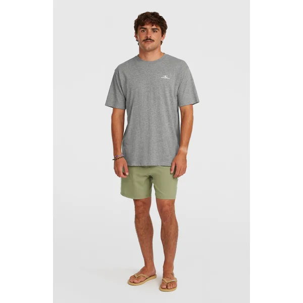T-shirt O'Neill Small Logo | Silver Melee
