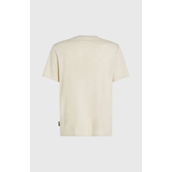 T-shirt O'Riginals Hybrid Polygiene Graphic | Atmosphere