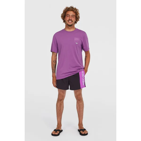 T-shirt Retro Graphic | Sweet Grape