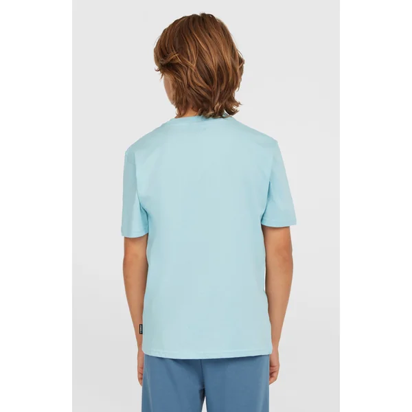 T-shirt Small Graphic | Morning Glory