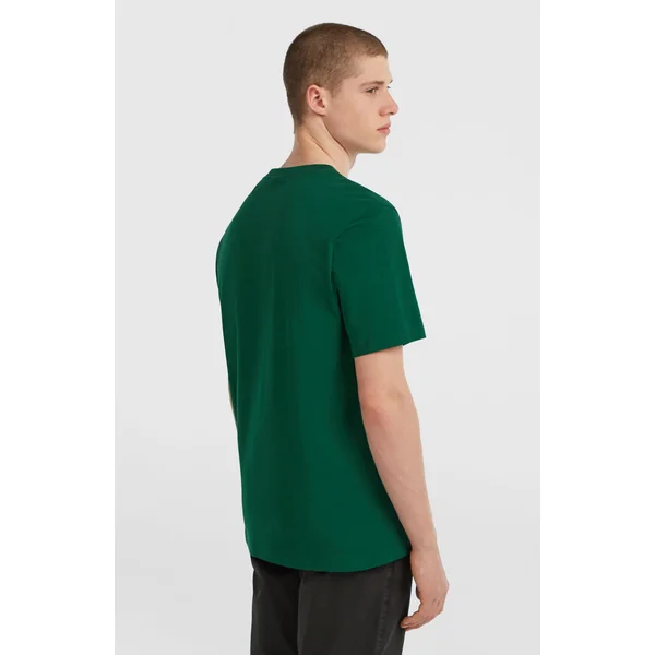 T-shirt Small Logo | Emerald Envy