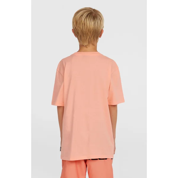 T-shirt Stripe | Coral Pop