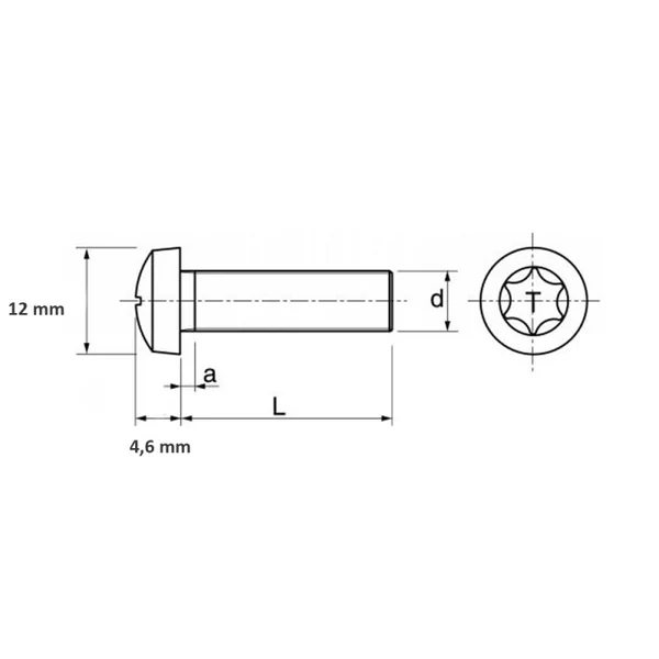 VISSERIE MARINE TORX POUR CHAUSSE DE WAKE