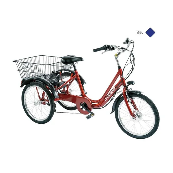 Vélo CASADEI e-bike 3 roues 24 6v ansmann h47 bleu